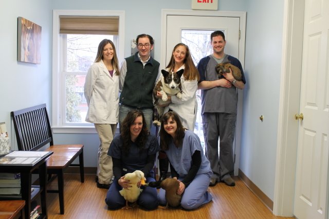 Contact Us | Veterinarian in Belmont, MA | Cushing Square Veterinary Clinic